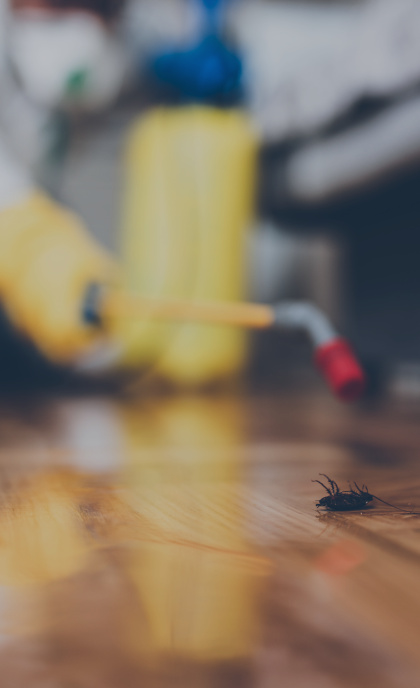 Pest Control